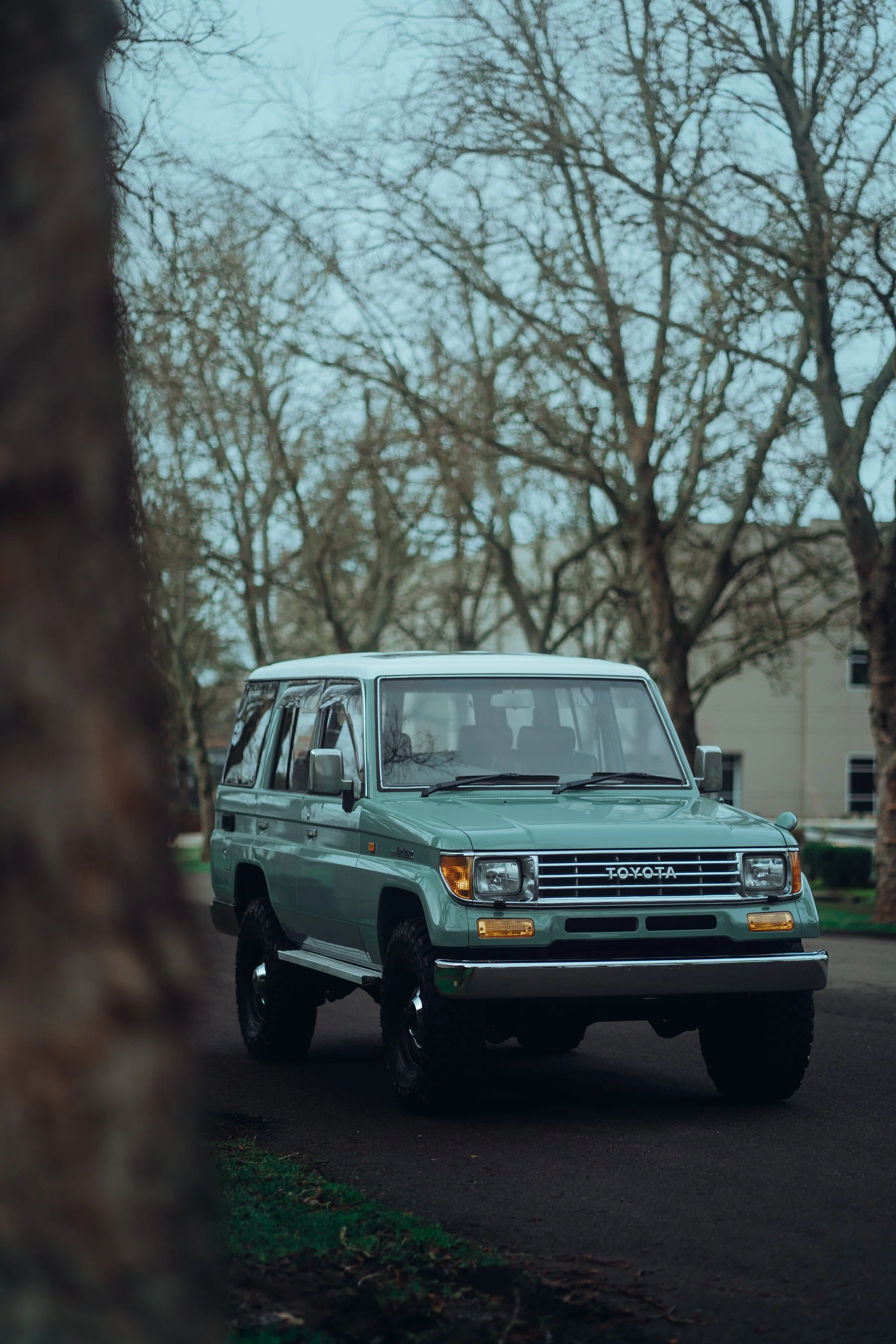 11168 PUTTYGREEN — CASCADE OVERLAND IMPORTS